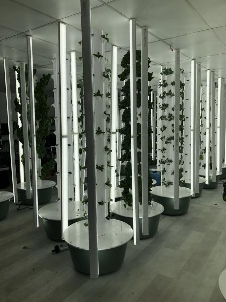grow Space_2