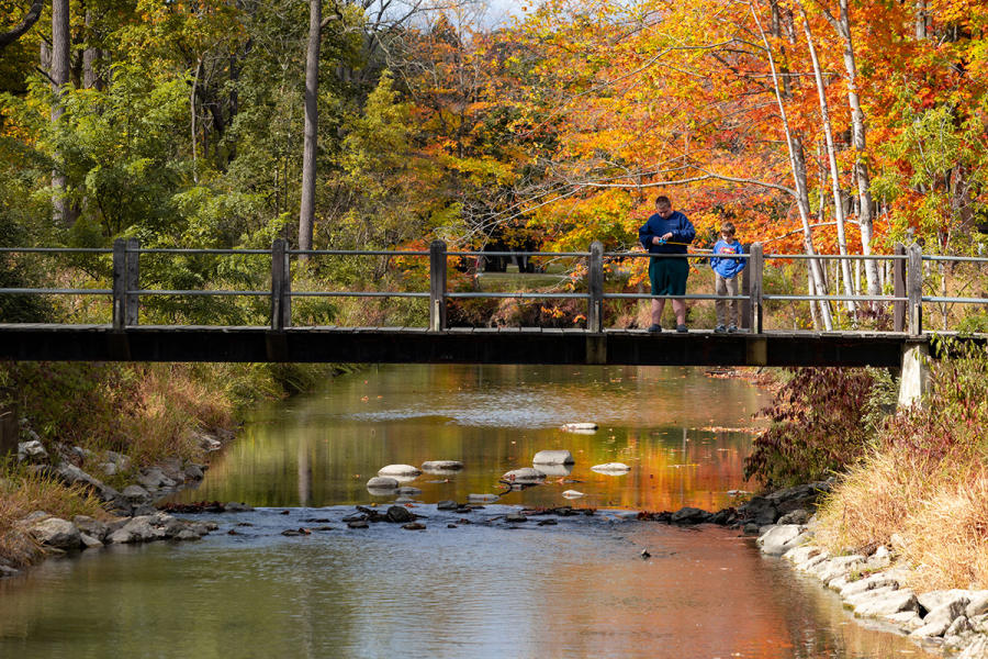 Petrifying Springs Park in the fall