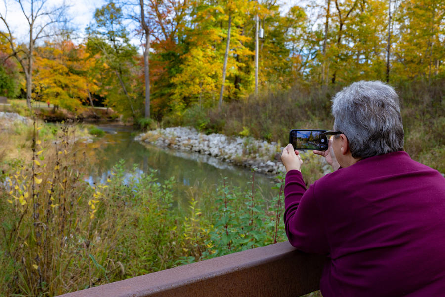 Petrifying Springs Park in the fall