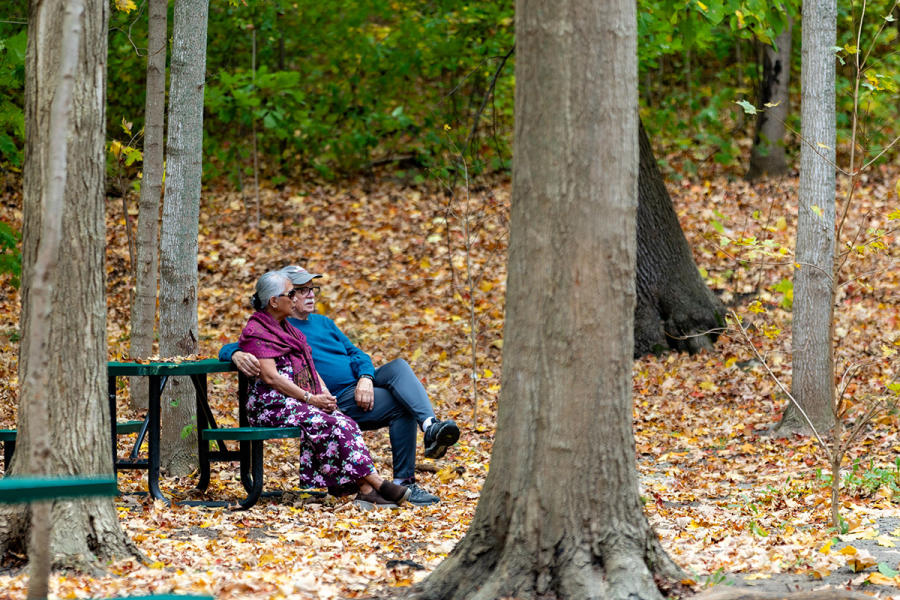 Petrifying Springs Park in the fall