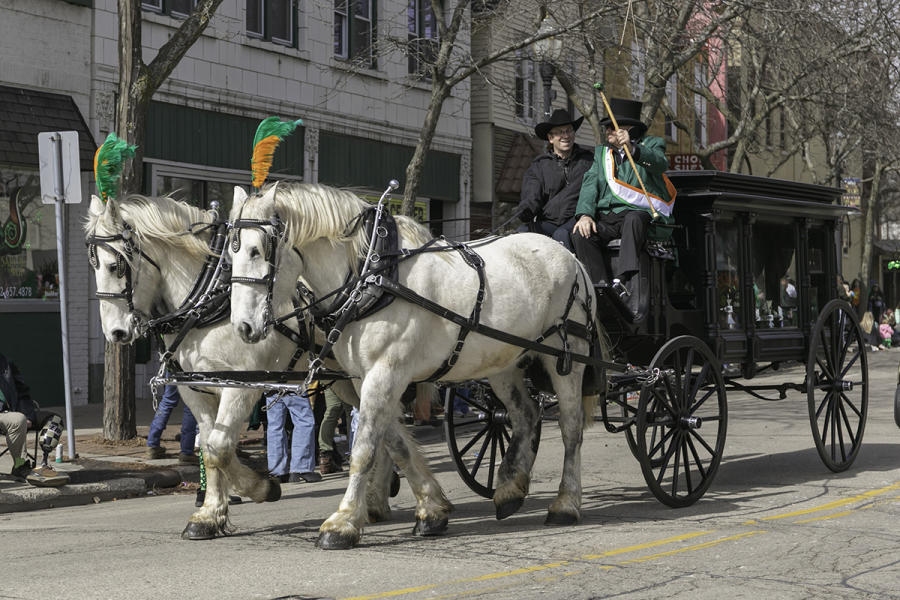 St. Patrick's Day Celebration