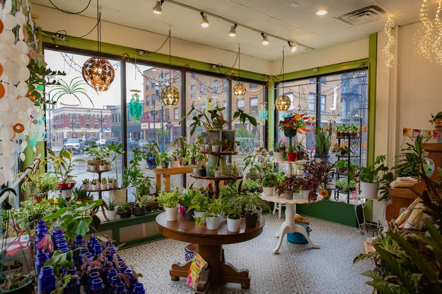 Equinox botanical boutique