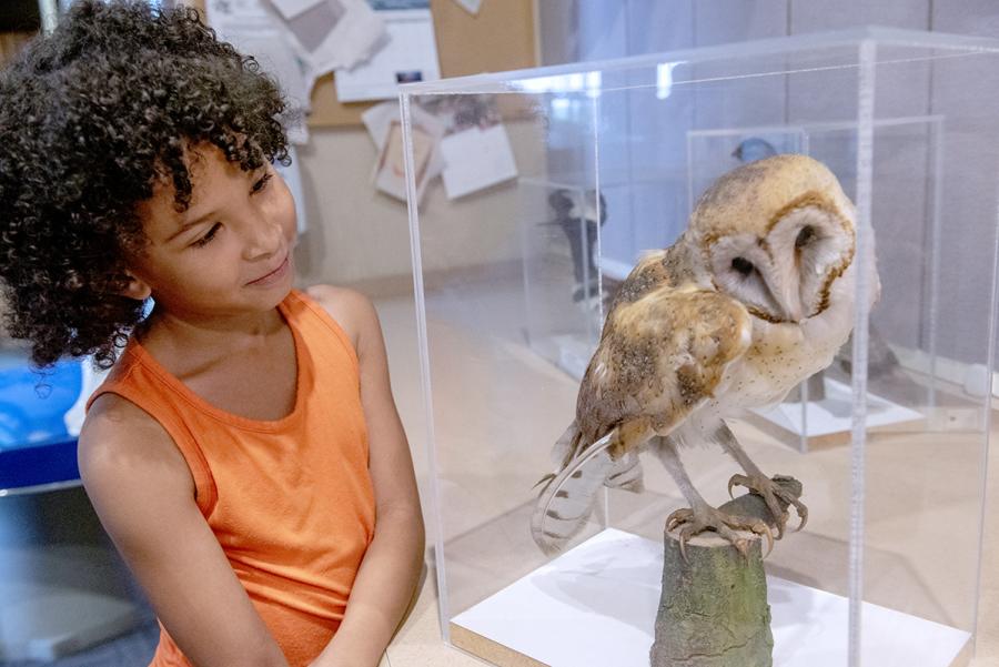 Kenosha Public Museum