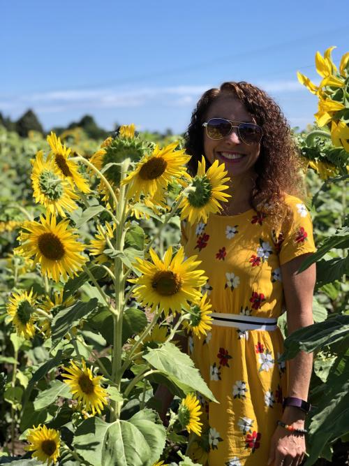 sunflowers at Jerry Smith Farm
