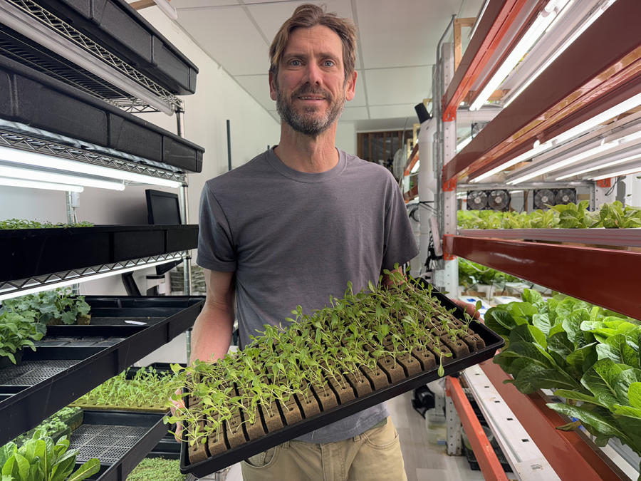 Grow Space Vertical Farms