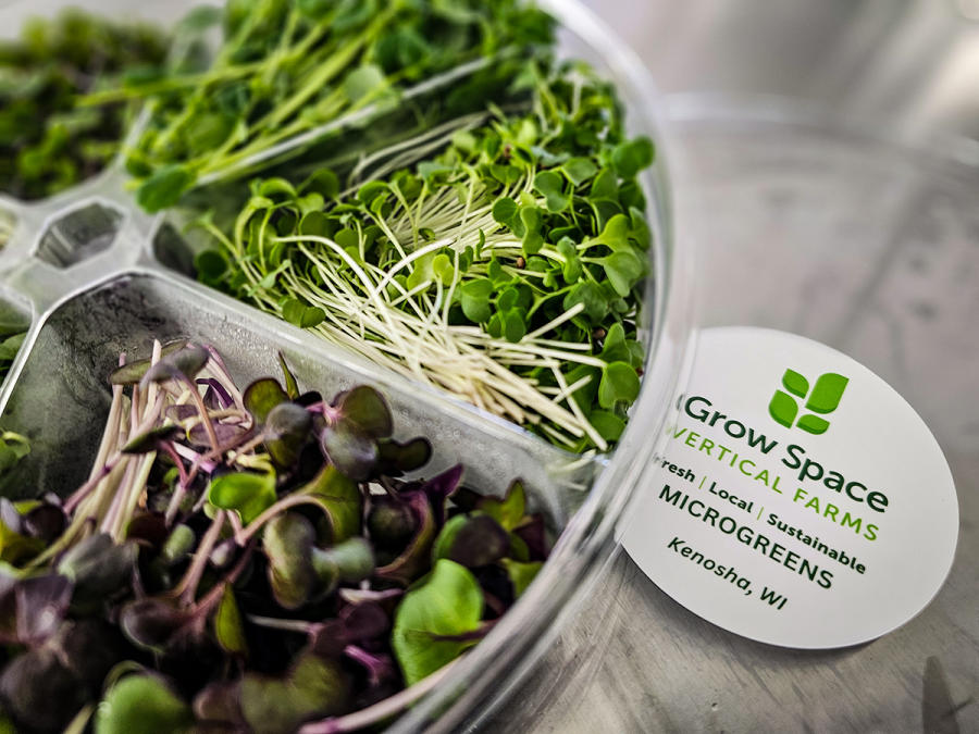 microgreens at Grow Space Vertical Farms