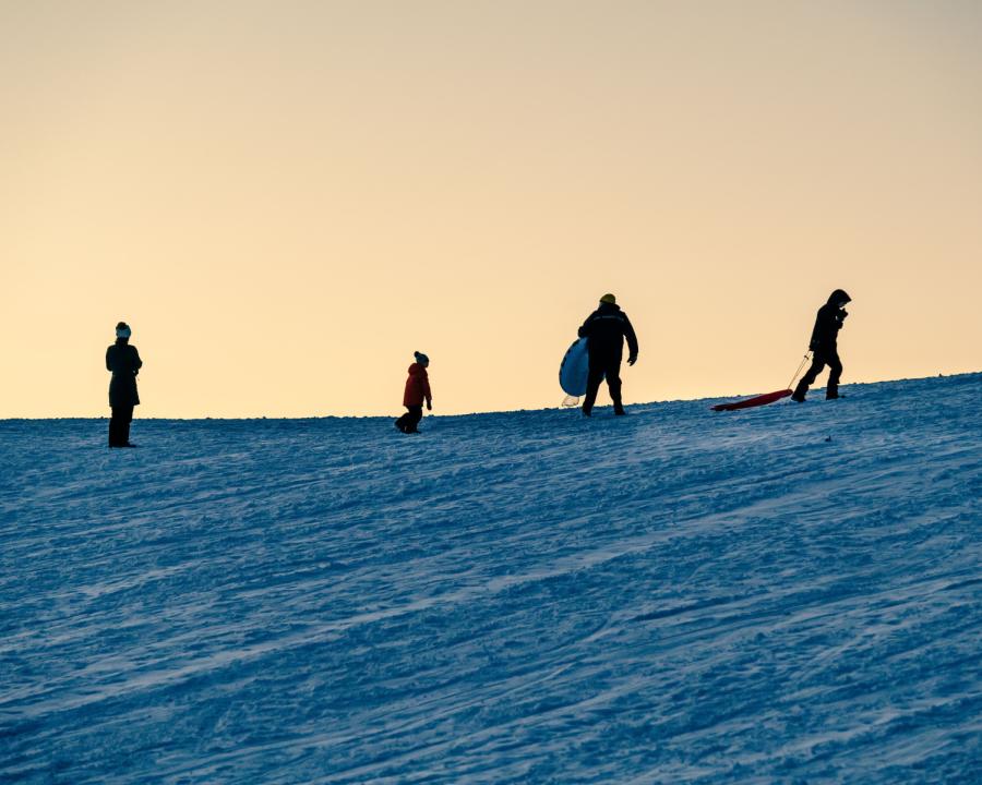 Sledding at Petrifying Springs Park