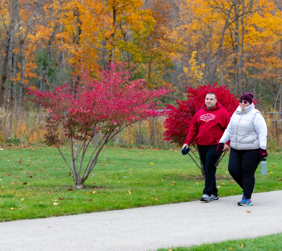 7 Great Reasons to Visit Kenosha Wisconsin in the Fall