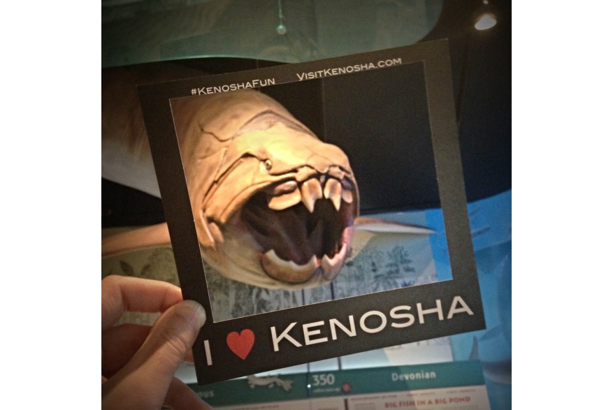 exhibit at Kenosha Public Museum