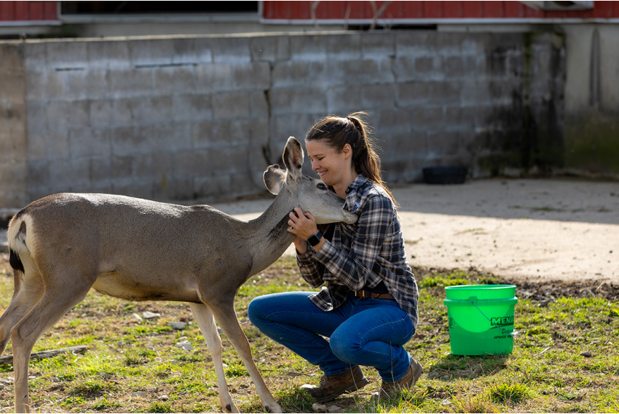 Paris Deer Park