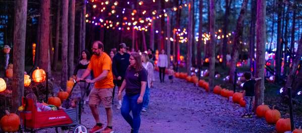 Glowing Pumpkin Trail