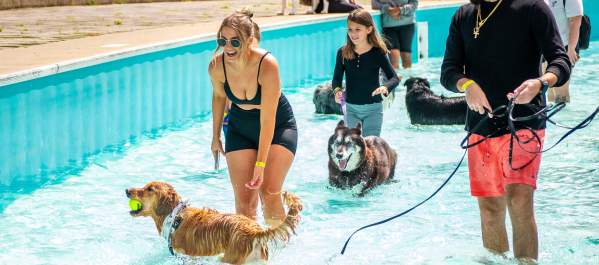 Bark in the Waterpark
