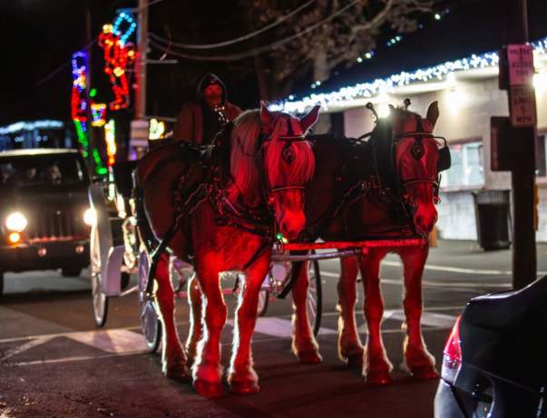 Carriage Rides at Nay Aug Park's Holiday Light Spectacular