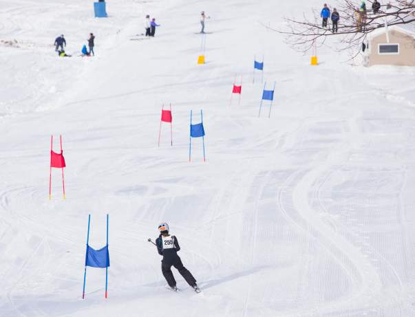 Carve 4 Cancer Winter Festival