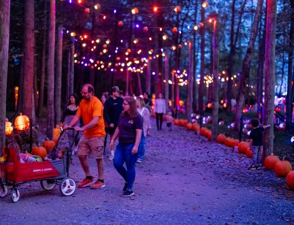 Glowing Pumpkin Trail