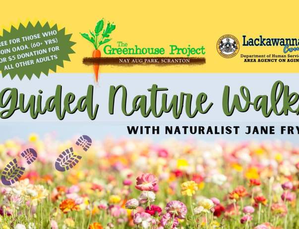 Guided Nature Walks
