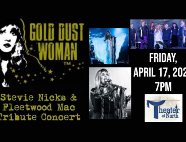"Gold Dust Woman" - Stevie Nicks & Fleetwood Mac Tribute