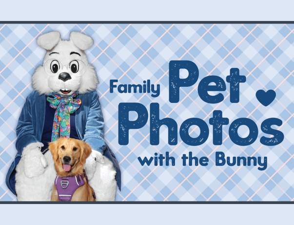 Family Pet Photos with the Bunny