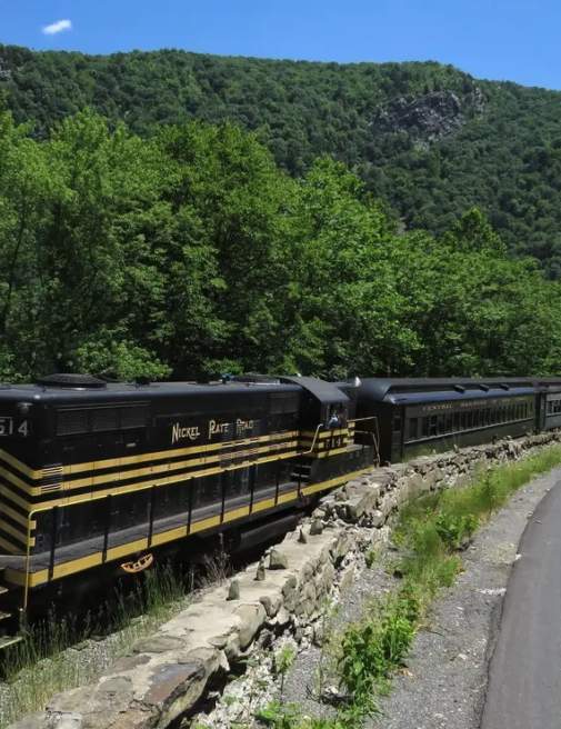 Water Gap Limited – Pickle Me Poconos Special