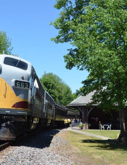 Steamtown Excursion to Moscow: Moscow Country Street Fair