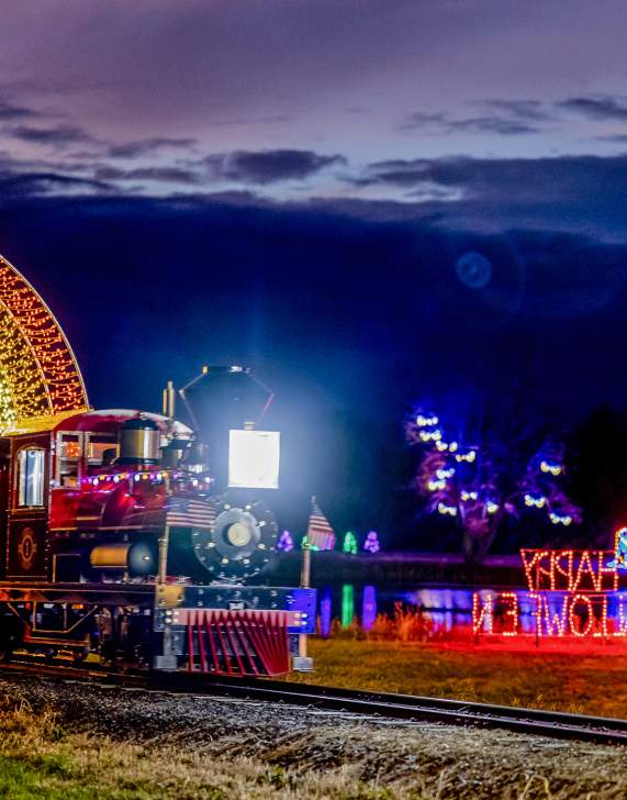 Halloween Light Show