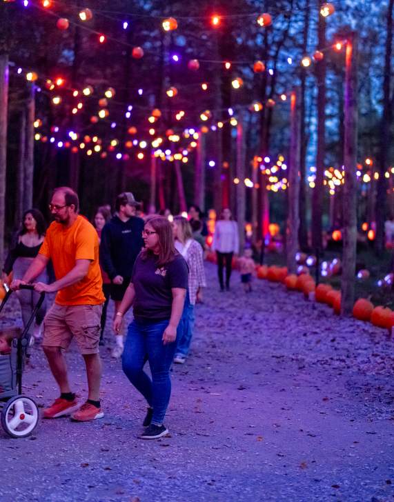 Glowing Pumpkin Trail