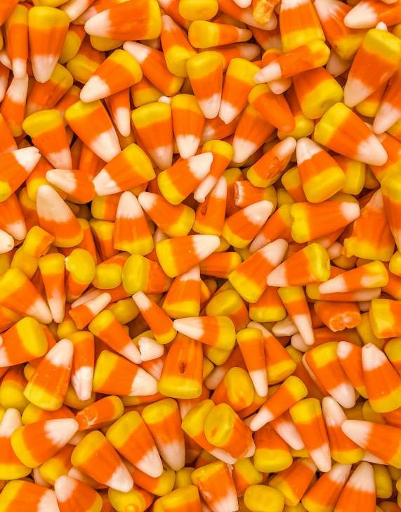 Christmas Miracles From Heaven Trick or Treat