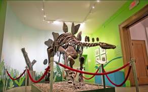 Everhart Museum dinosaur