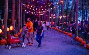 The Glowing Pumpkin Trail at Roba Family Farms in North Abington Township, PA