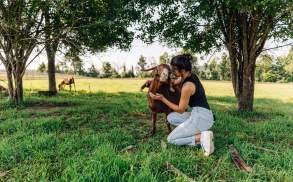 Indraloka Animal Sanctuary in Dalton, PA