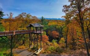 Fall Foliage at Nay Aug Park's Treehouse