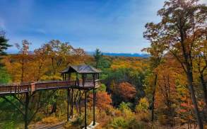 Fall Foliage at Nay Aug Park's Treehouse