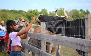 Indraloka Animal Sanctuary in Dalton, PA