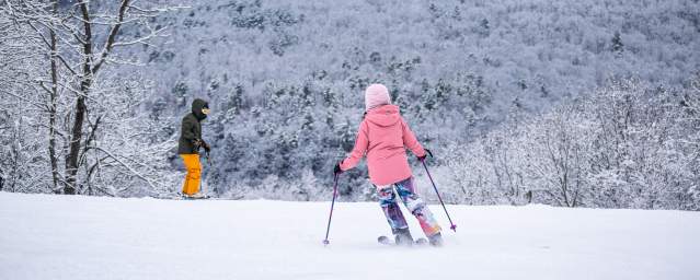 Montage Mountain Winter