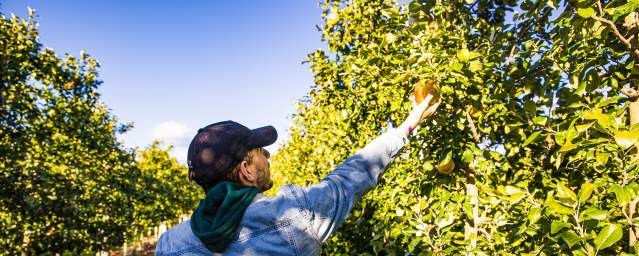Lakeland Orchard & Cidery 2022