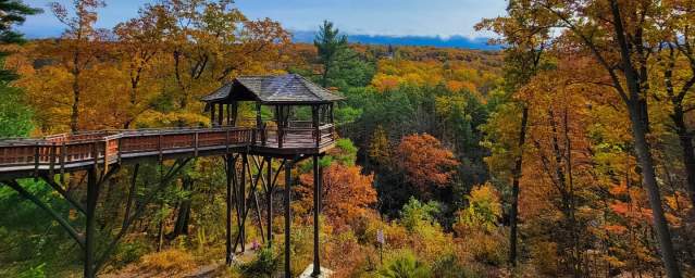 Fall Foliage at Nay Aug Park's Treehouse