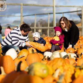 A family picking pumpkins at Roba Family Farms