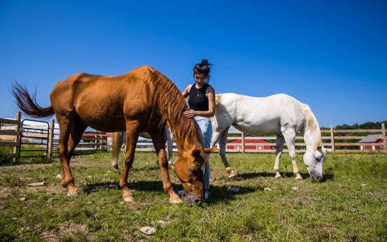 Indraloka Animal Sanctuary