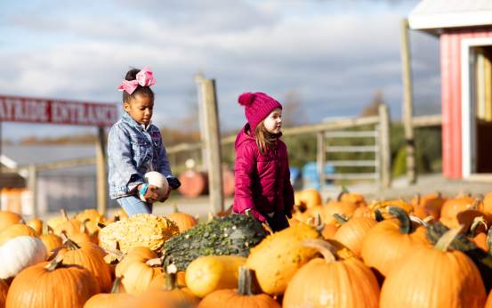 Roba Family Farms