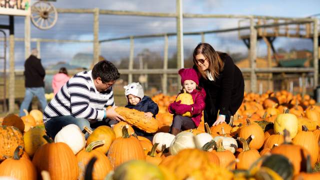 A family picking pumpkins at Roba Family Farms