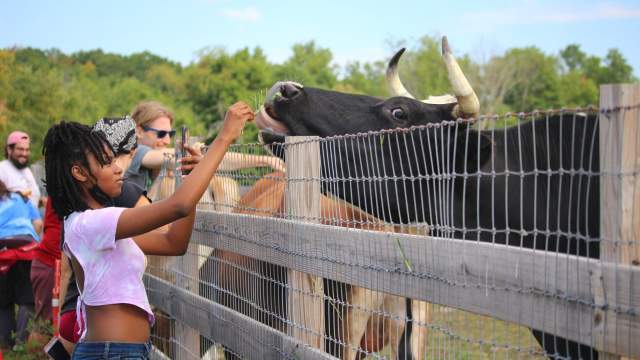 Indraloka Animal Sanctuary in Dalton, PA