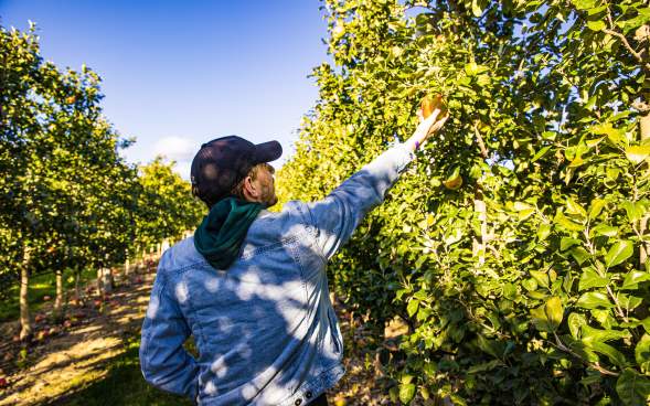 Lakeland Orchard & Cidery 2022