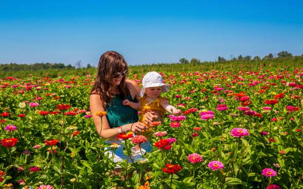 Lakeland_Orchard_Zinnia_Smith_05_LCVB