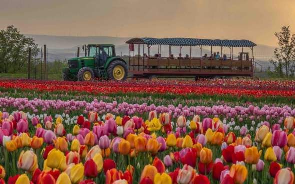 Lakeland Orchard & Cidery | Lackawanna County, PA Farm Fun
