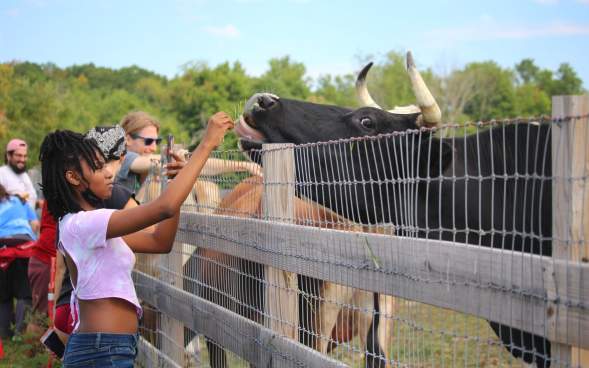 Indraloka Animal Sanctuary in Dalton, PA