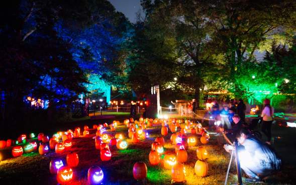 Glowing Pumpkin Trail