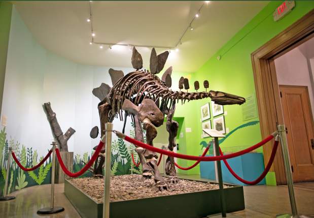 Everhart Museum dinosaur
