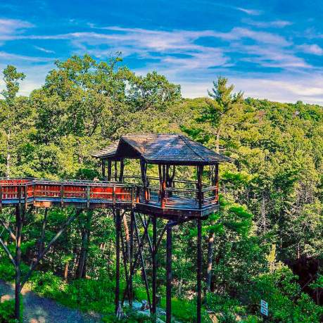 chase_does_art Instagram Nay Aug Park