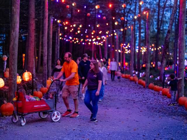 The Glowing Pumpkin Trail at Roba Family Farms in North Abington Township, PA