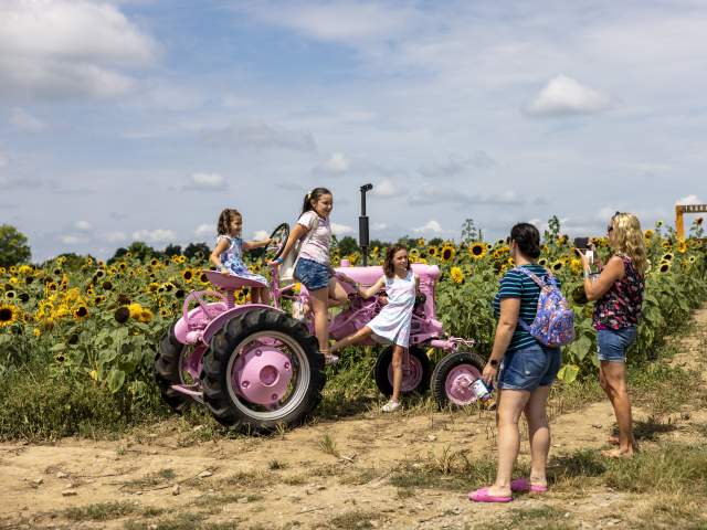 Lakeland Orchard & Cidery in Scott Township, PA